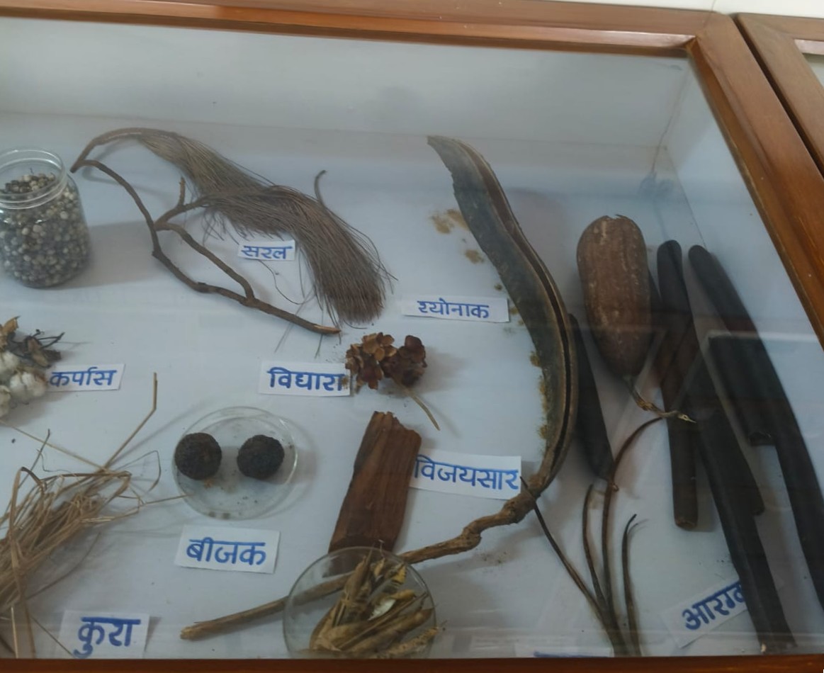 Department of Dravyaguna Vigyan - Lab 2